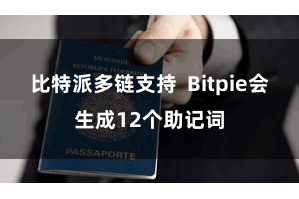 比特派多链支持  Bitpie会生成12个助记词