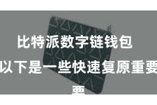 比特派数字链钱包  以下是一些快速复原重要