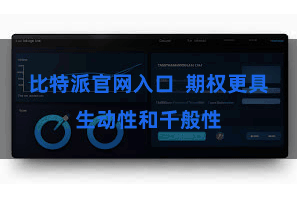 比特派官网入口  期权更具生动性和千般性
