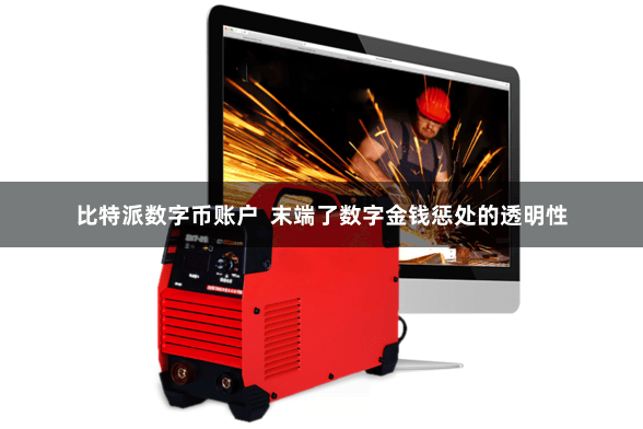 比特派数字币账户  末端了数字金钱惩处的透明性