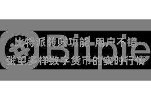 比特派转账功能  用户不错张望多样数字货币的实时行情