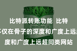 比特派转账功能  比特派汉文版不仅在骨子的深度和广度上远超同类网站
