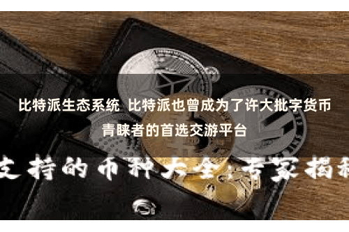 比特派生态系统  比特派也曾成为了许大批字货币青睐者的首选交游平台